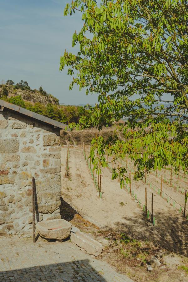 The Farmhouse I - Uma Quinta Deslumbrante Villa Felgueiras Exterior foto