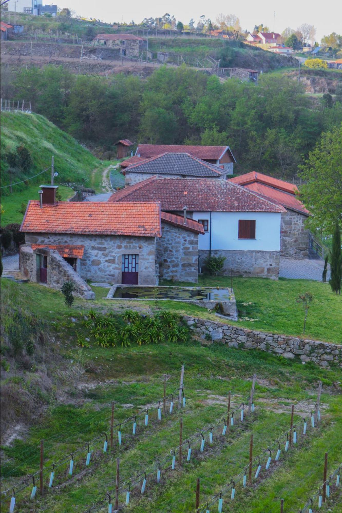 The Farmhouse I - Uma Quinta Deslumbrante Felgueiras Exterior foto